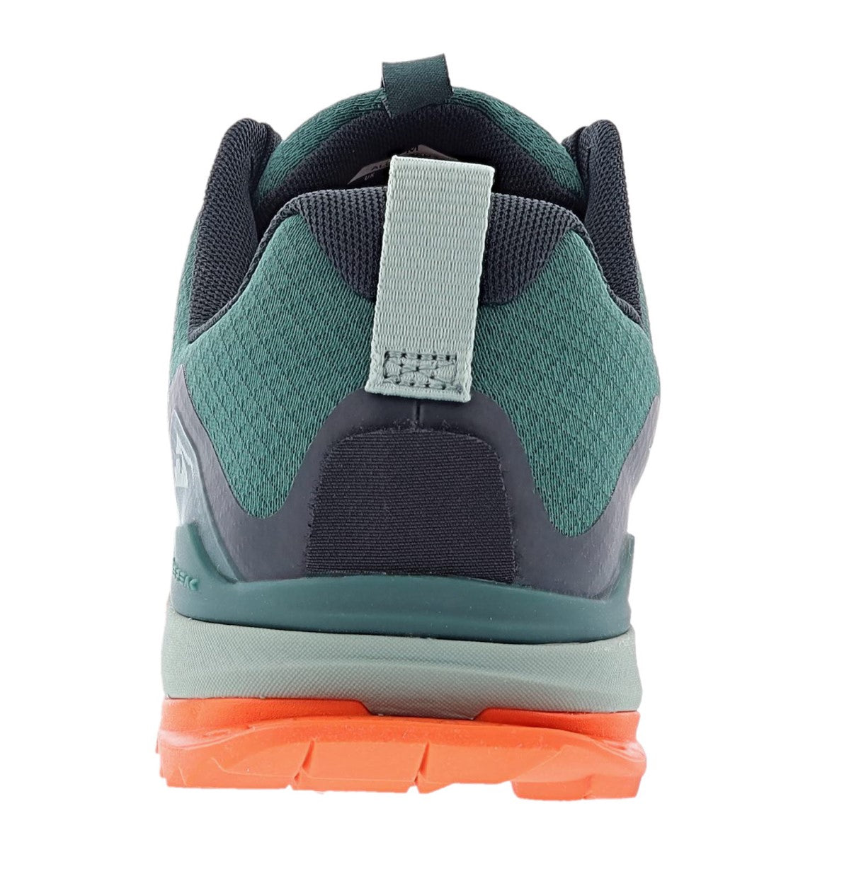 Back of  deep forest Altra Men's Lone Peak 7 Trail Running Shoes